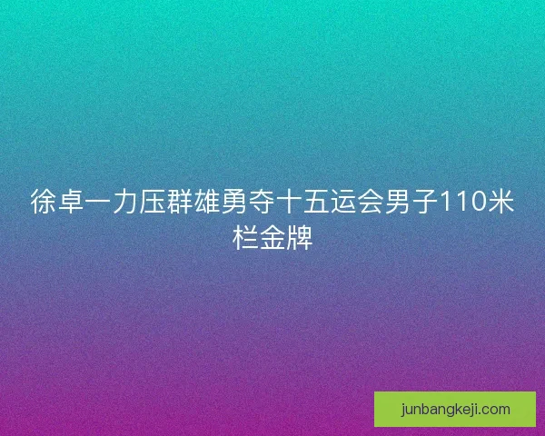 徐卓一力压群雄勇夺十五运会男子110米栏金牌 徐卓一力压群雄勇夺十五运会男子110米栏金牌