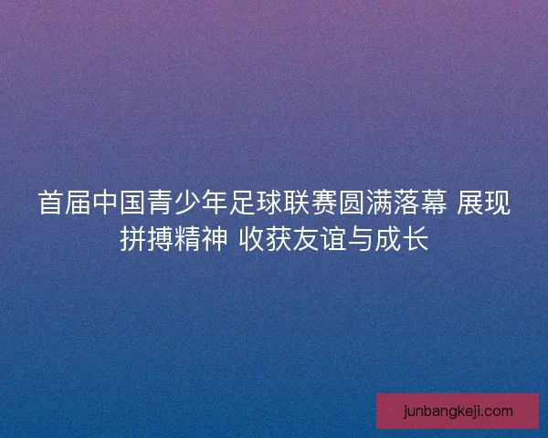 首届中国青少年足球联赛圆满落幕 展现拼搏精神 收获友谊与成长 首届中国青少年足球联赛圆满落幕 展现拼搏精神 收获友谊与成长