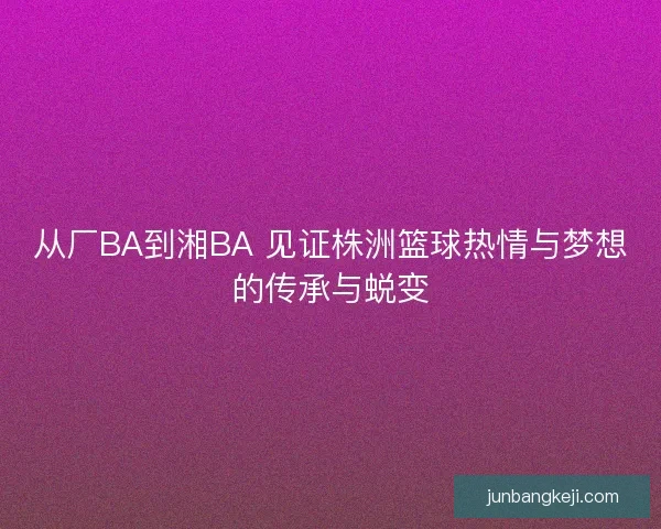 从厂BA到湘BA 见证株洲篮球热情与梦想的传承与蜕变