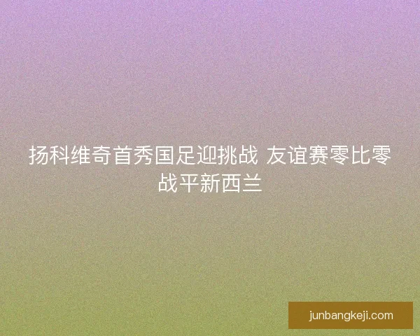 扬科维奇首秀国足迎挑战 友谊赛零比零战平新西兰